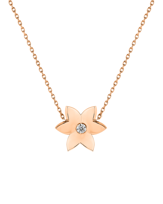 X by Molu Oxalis Pırlantalı Büyük Boy Kolye 