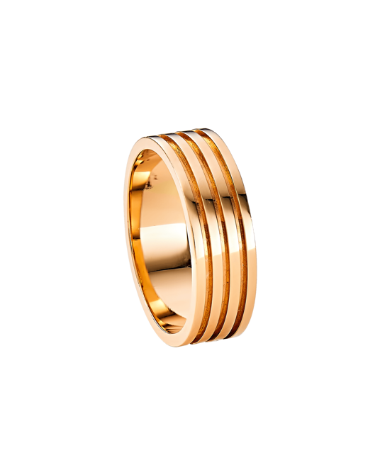 Molu Üç Kanallı Alyans	