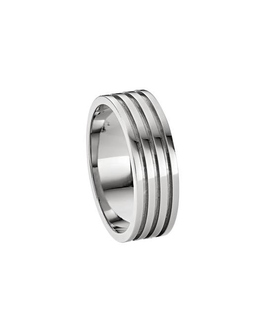 Molu Üç Kanallı Alyans	