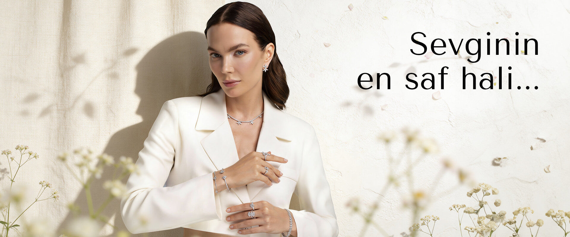 Molu Lily Koleksiyonu